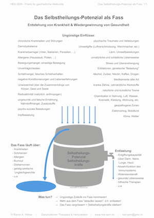 Qualifizierter, fundierter und professioneller Heilpraktiker, ganzheitlicher Alternativ-Therapeut, Hypnosetherapeut, Psychologischer Berater, Coach, Massagetherapeut, CranioSacral-Therapeut und Rückentherapeut in ganzheitlicher Heilkunde, Ganzheitsmedizin, praktischer Psychologie, Life&HealthCoaching, Neuer Medizin und alternativer Naturheilkunde, Rainer A. Weber, HEILSEIN - Praxis für ganzheitliche Heilkunde